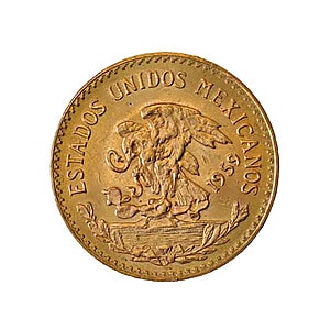 Mexican 20 Peso Back